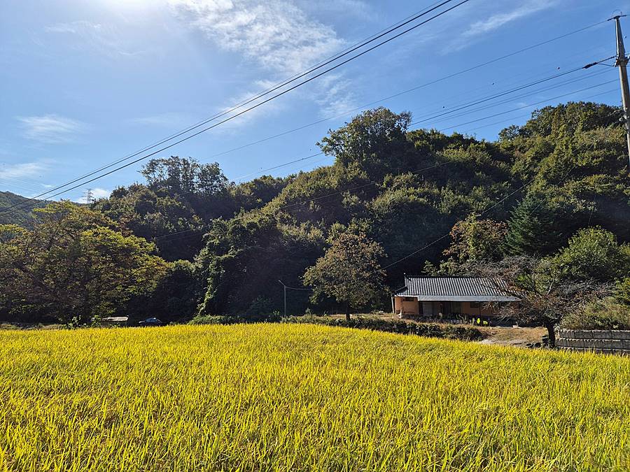 충남 공주 농가주택 매매 조용한 촌집 매매 1 (1).jpg