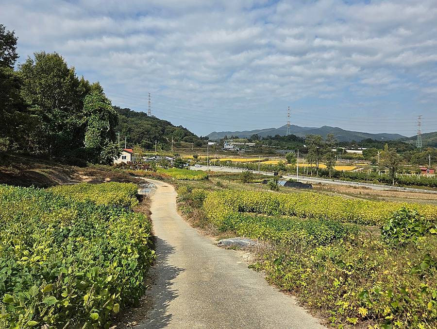 충북 충주 시골집 임대 작은 촌집 월세 10 (1).jpg