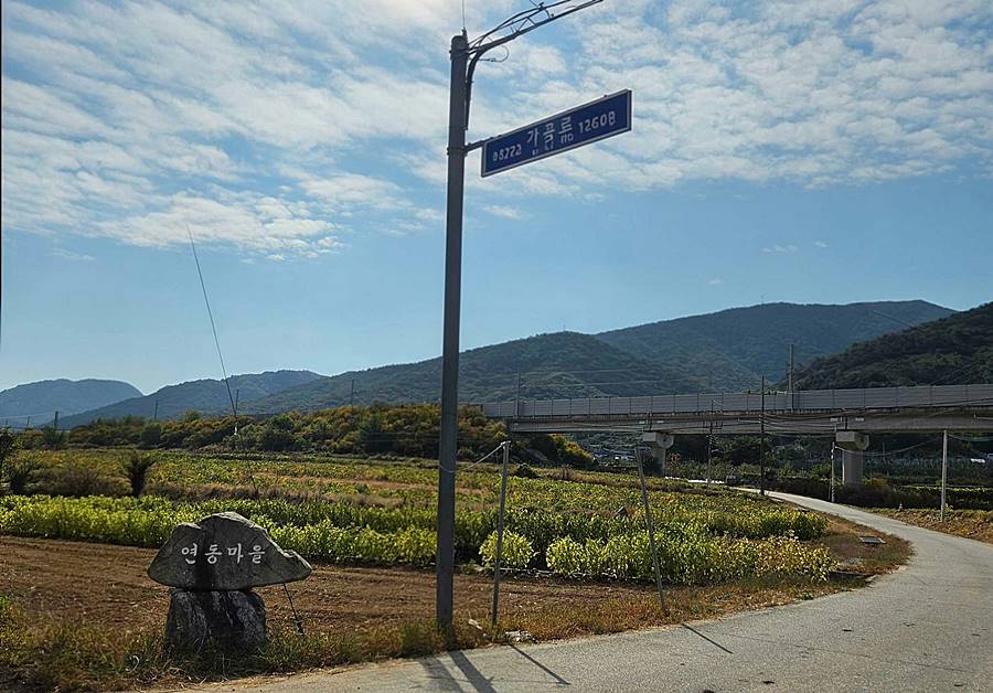 충북 충주 시골집 임대 작은 촌집 월세 10 (2).jpg